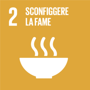 SDGs obiettivi di sviluppo sostenibile 02