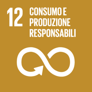 SDGs obiettivi di sviluppo sostenibile 12