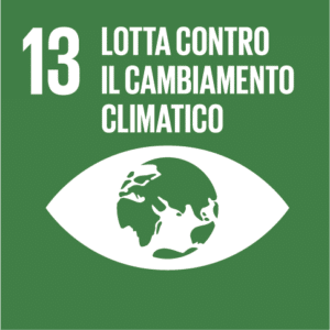 SDGs obiettivi di sviluppo sostenibile 13