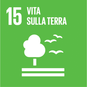 SDGs obiettivi di sviluppo sostenibile 15