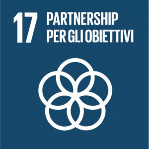 SDGs obiettivi di sviluppo sostenibile 17