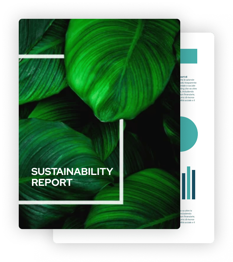 img report sostenibilita